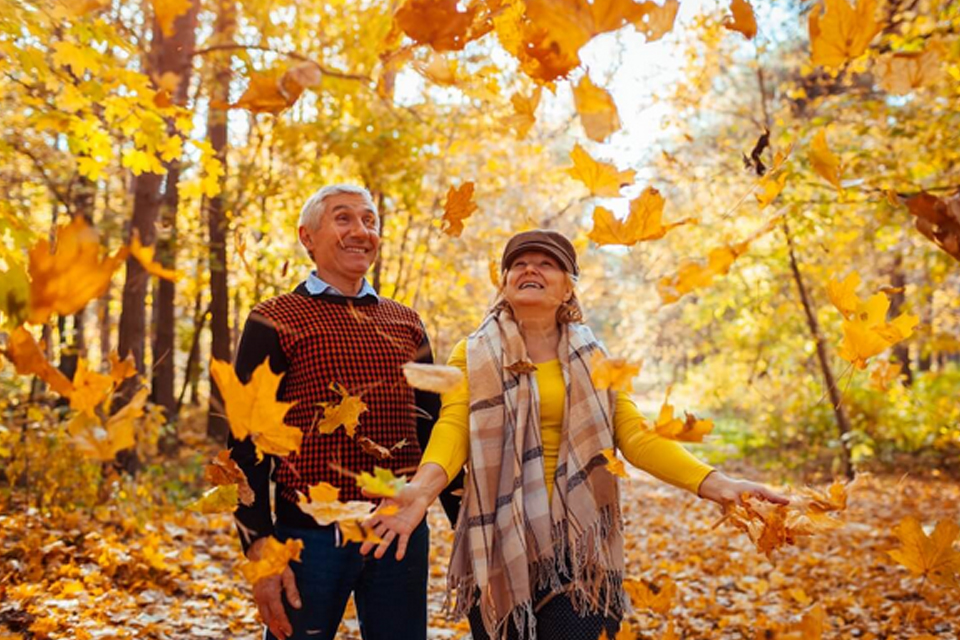 فصل طلایی پاییز: راهنمای فعالیت‌های بیرون از خانه برای سالمندان