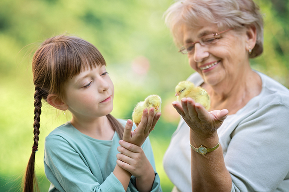 ارزش تجربه و خرد سالمندان در جامعه مدرن