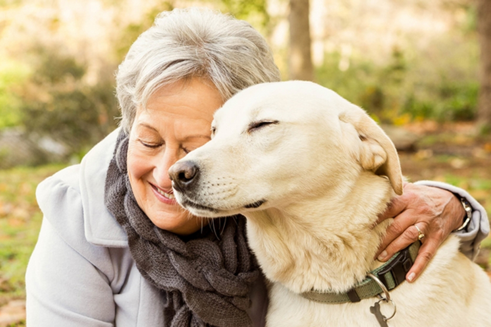 مزایای حیوانات خانگی برای سالمندان